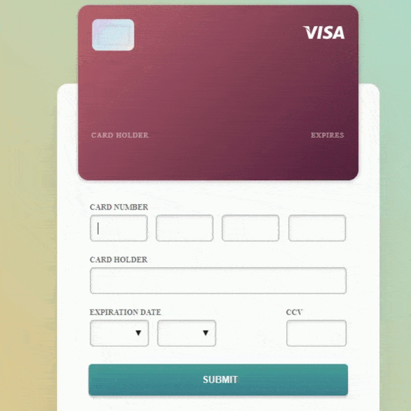 build your own credit card using html css and javascript.gif